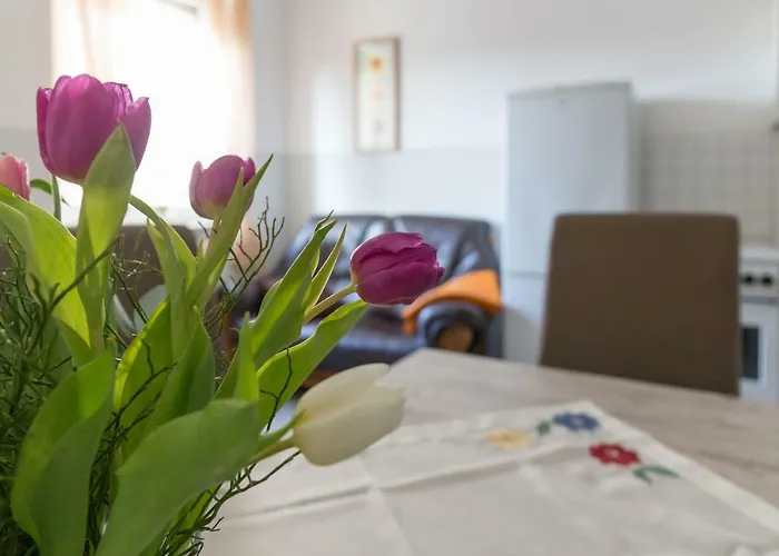 Ferienwohnung Daire *